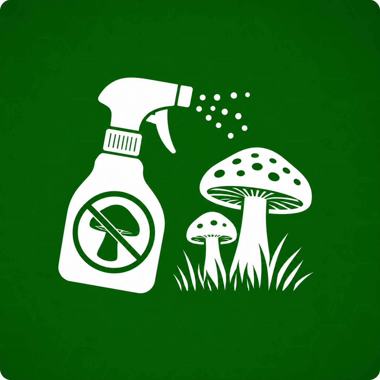Champignon sur la pelouse Image