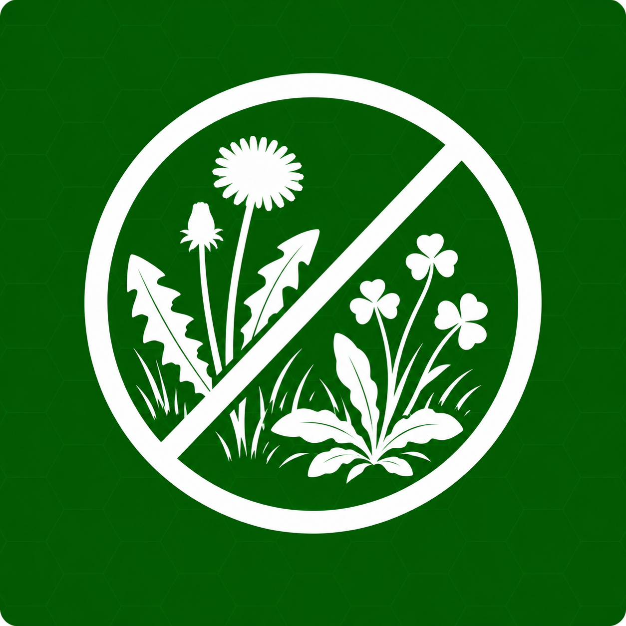 Mauvaises herbes sur la pelouse Image